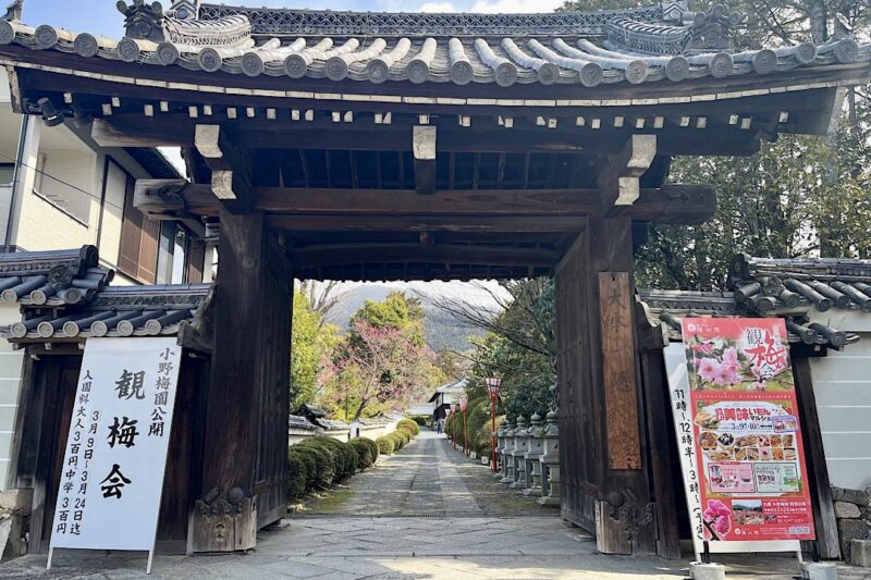 随心院