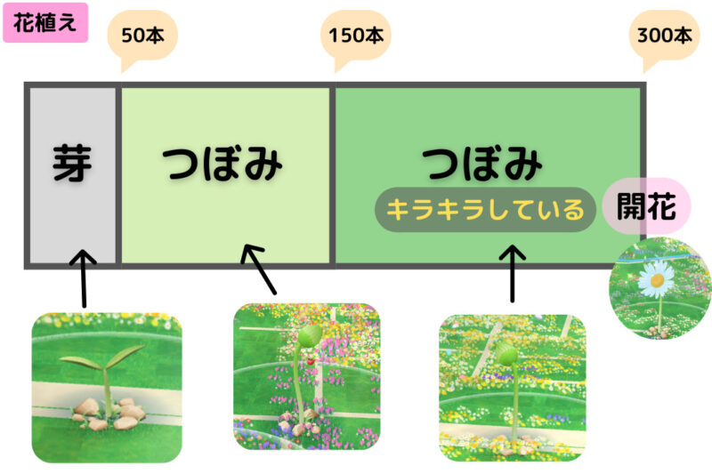 ピクミンブルームのビッグフラワーとは？