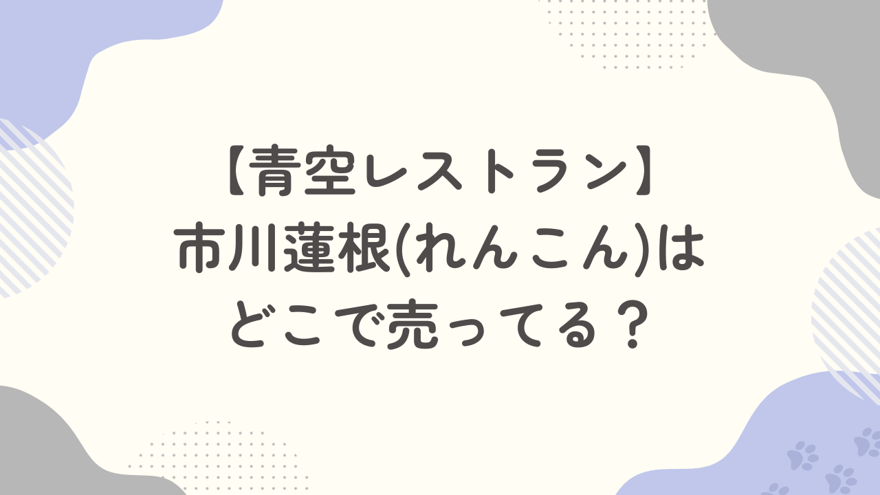 【青空レストラン】市川蓮根（れんこん）はどこで売ってる？通販・販売店まとめ